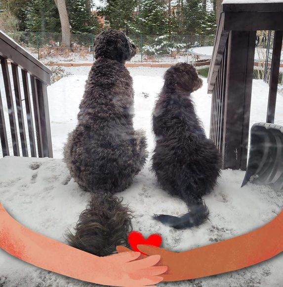 Meet your Posher, Randé kate k. - Picture 1 of 1